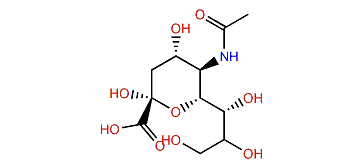 N-Acetylneuraminic acid